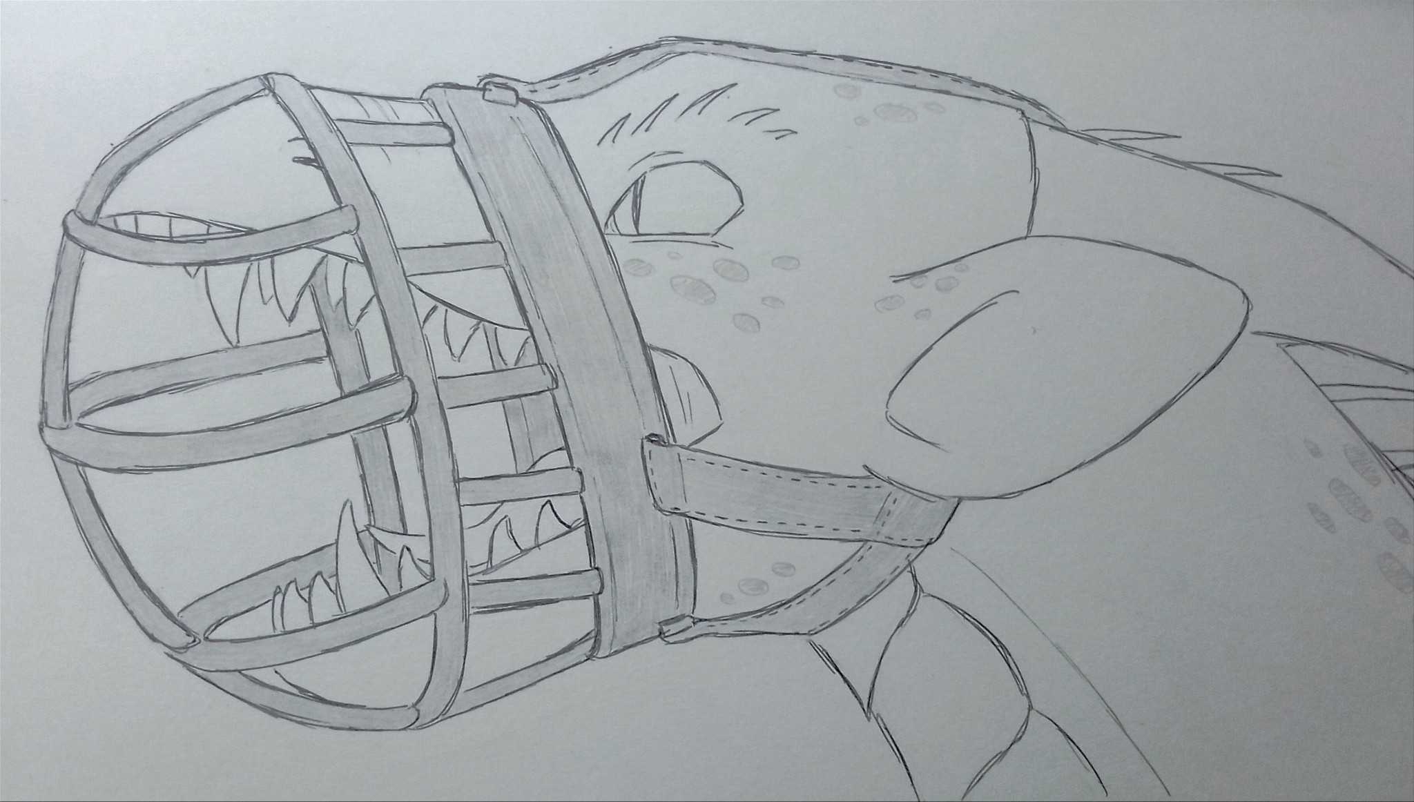 traditional drawing of a dragon with a dog muzzle on. its mouth is open, as if trying to break it open with the force of its jaws. its ears are pinned back in fear and its eyes are wide open with very narrow pupils, which may indicate anger and/or fear.