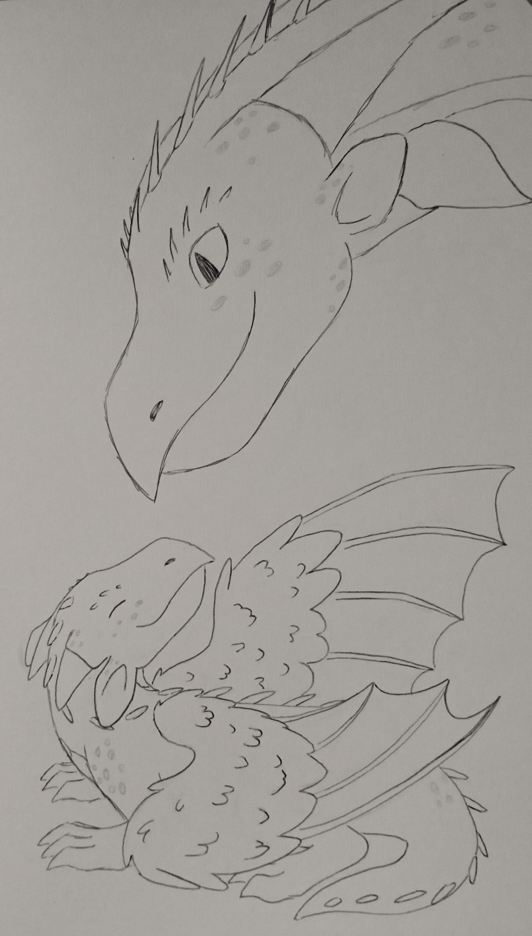 a simple ink drawing of two dragons, one big and one small. the small one is a hatchling, a fat little dragon; it's looking up with its eyes closed, smiling towards the big dragon. it has one half-feathered wing clumsily folded while the other is stretching towards the big dragon. its tail is fat and short, and curled next to it. it has short unsharpened horns and big ears, and its paws are proportionally too big for its tiny body. it has blunt will-be spines over its eyes and going down from its head to its tail. the big one is an adult dragon, and it's looking down at the hatchling with a smile on its face. it has slit, kind eyes, with freckle-like scales on its face and sharp spines over its eyes and neck. its horns are long and sharp, and its ears are in an alert position. it has big chest scales and a golden lateral line next to them.