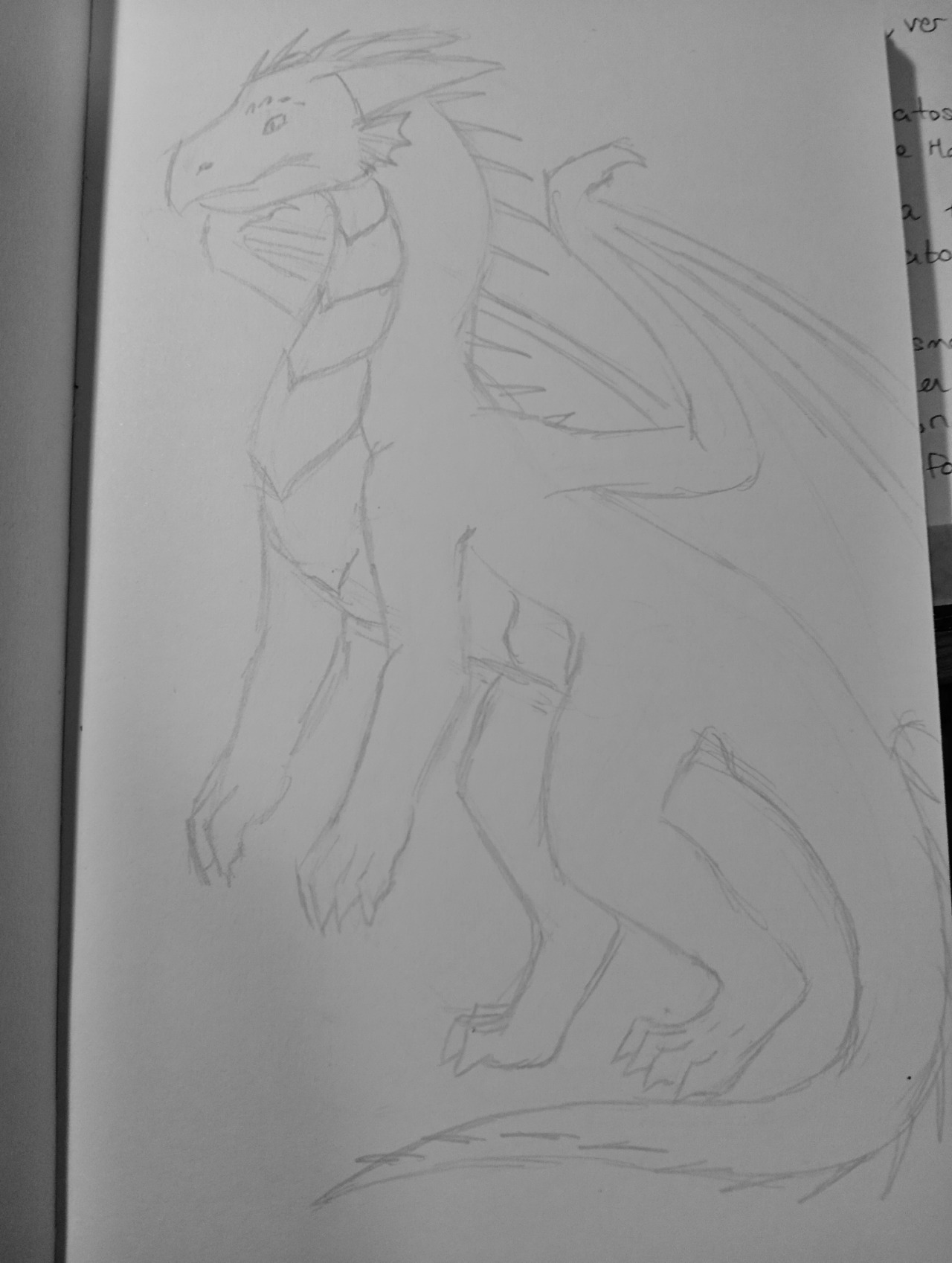 simple pencil drawing of a western dragon standing on two legs
